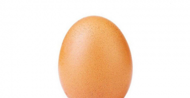 تخم مرغ دوست داشتنی دیجی دکی