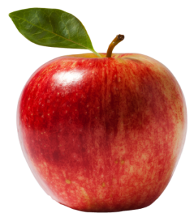 تعمیرات گوشی iphone